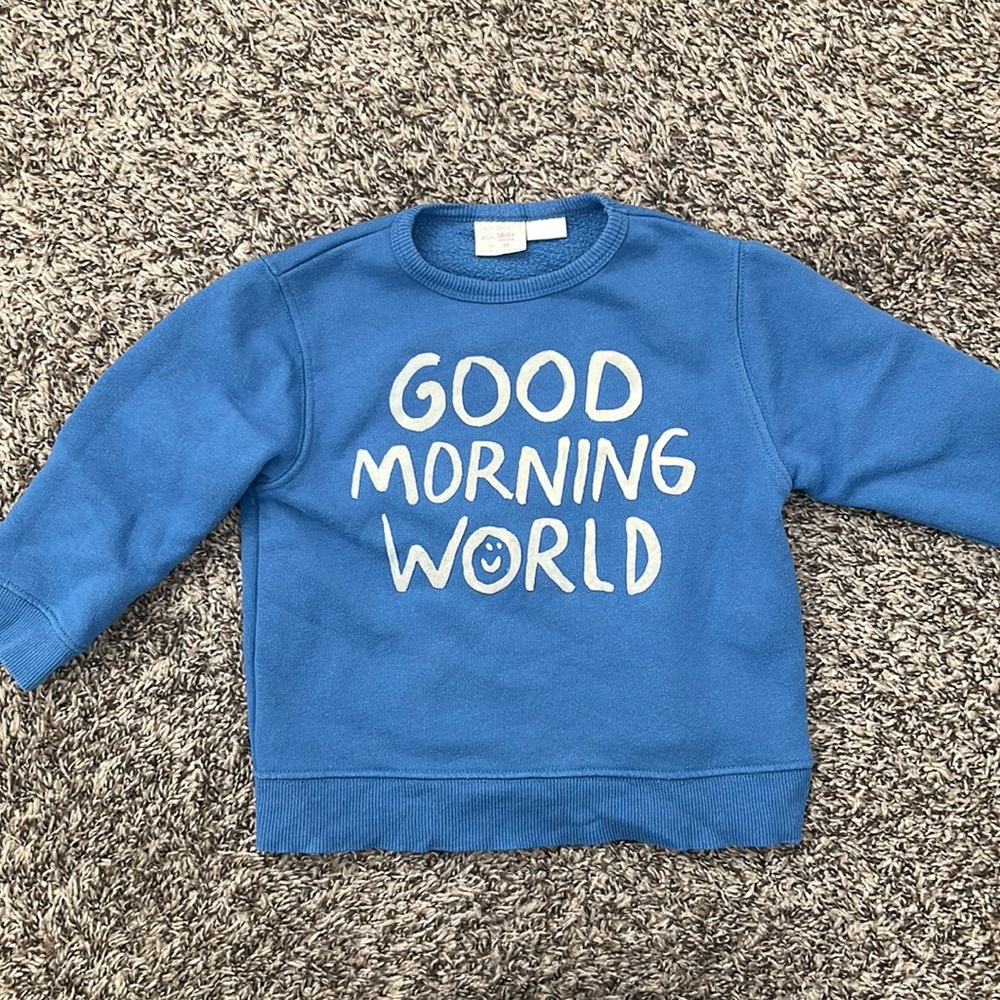 Zara baby boy 18-24 months crew neck sweatshirt